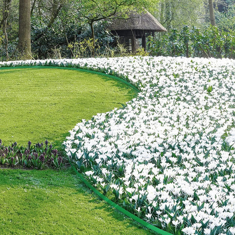 Rootz Ultimate Garden Edging - Lawn Border - Landscape Edging - Durable, Flexible, Weatherproof - High-Quality PE - 10m/20m x 5cm x 5cm