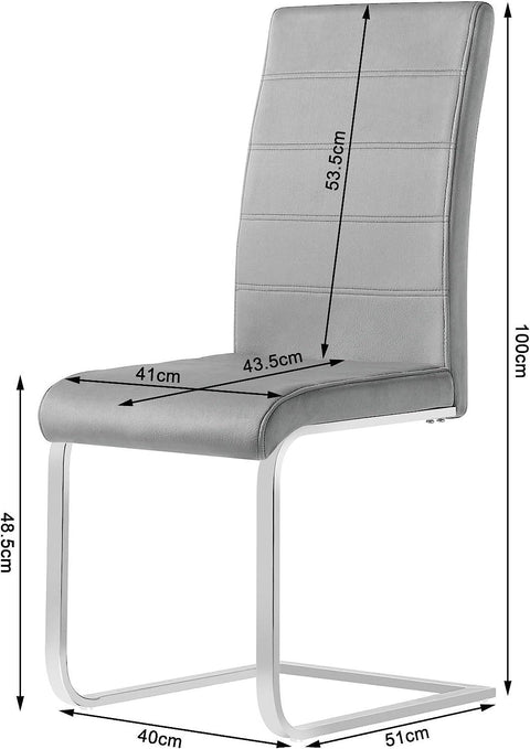 Rootz Swing Chair Set of 2 - Dining Chairs - Ergonomic Seating - Velvet Cover, Stable Metal Frame, Floor Protection - 41cm x 100cm x 55.5cm
