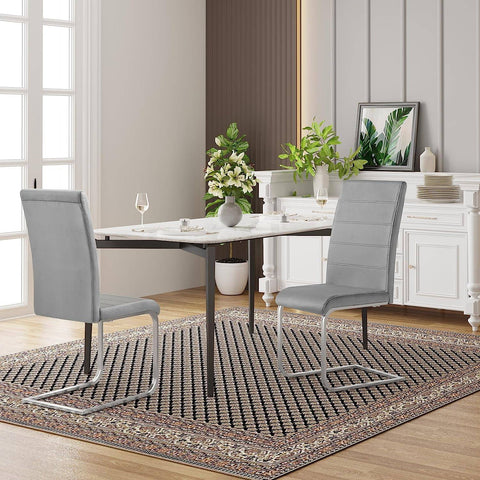Rootz Swing Chair Set of 2 - Dining Chairs - Ergonomic Seating - Velvet Cover, Stable Metal Frame, Floor Protection - 41cm x 100cm x 55.5cm