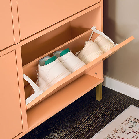 Rootz Shoe Cabinet - Footwear Organizer - Storage Unit - Compact Design - Steel Frame - 100x90x19cm for Stability & Convenience