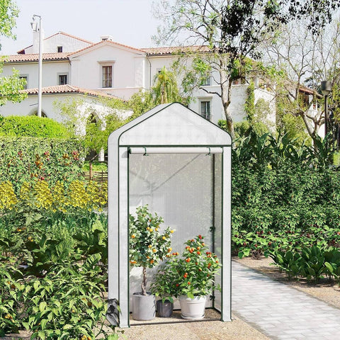 Rootz Film Greenhouse - Tomato House - Growing Tent - Cold Protection - 100cm x 50cm x 190cm