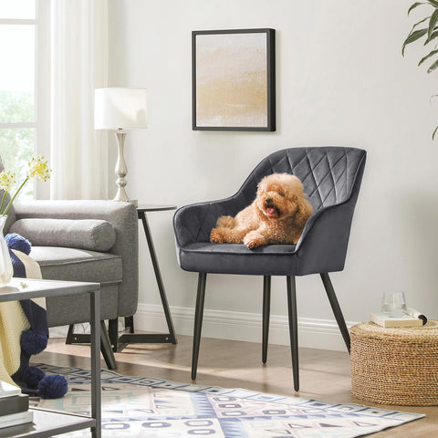 Rootz Upholstered Dining Chair - Grey Armchair - Velvet Chair - Ergonomic Comfort - 62.5cm x 60cm x 85cm