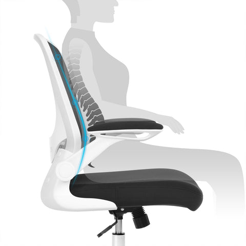 Rootz Mesh Office Chair - Ergonomic Chair - Swivel Chair - Adjustable Rocker Mechanism - Resistance Adjustment - Black - Plastic, Foam, Nylon, Steel - 66cm x 60cm x (99-107)cm - 120kg Capacity