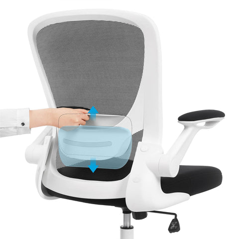 Rootz Mesh Office Chair - Ergonomic Chair - Swivel Chair - Adjustable Rocker Mechanism - Resistance Adjustment - Black - Plastic, Foam, Nylon, Steel - 66cm x 60cm x (99-107)cm - 120kg Capacity