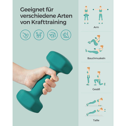 Rootz 2 Piece Set Dumbbells - Weights Set - Neoprene Coated - Strength Training - 20cm x 9cm - 11.5cm x 3.8cm
