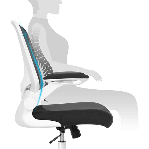 Rootz Office Chair - Office Chair - Mesh Cover - Ergonomic - Adjustable Lumbar Support - White - Black - 66 x 60 x (99-107) cm