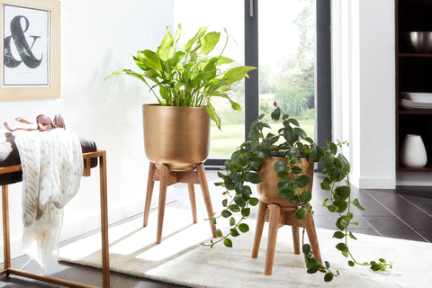 Rootz Flower Pot Set - 2 Metal and Solid Wood Planters in Gold with Feet - Design Round Planters - Stylish Flower Pot Planter