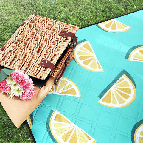 Rootz Picnic Blanket - Beach Blanket - Washable - Water Resistant - Foldable - Light Green - 200 x 200 cm