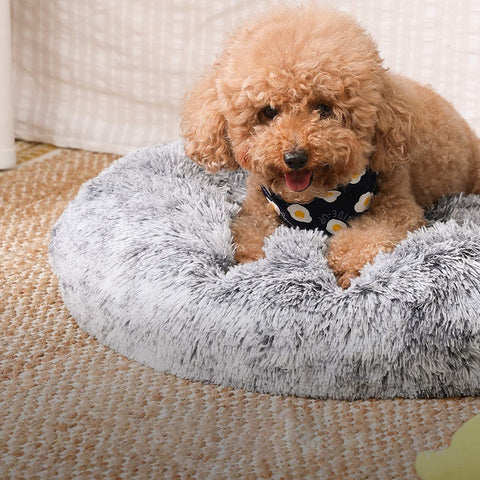Rootz Dog Bed - Cat Bed - Pet Bed - Gray - 60 x 20 cm