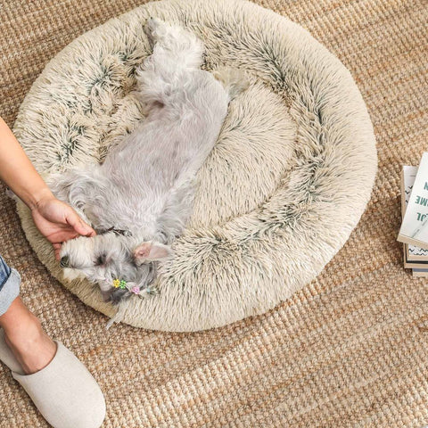 Rootz Dog Bed - Pet Bed - Orthopedic Dog Bed - Waterproof Dog Bed - Plush Dog Bed - Round Dog Bed - Khaki - 60 x 20 cm (Ø x H)