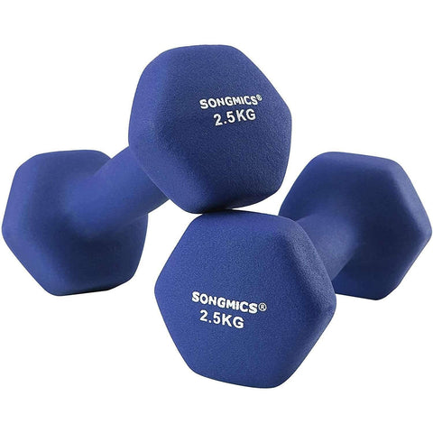 Rootz Dumbbells Set - 2.5 kg per Dumbell - Blue Dumbells - Weights and Dumbbells - 2 Pieces
