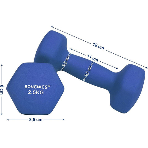 Rootz Dumbbells Set - 2.5 kg per Dumbell - Blue Dumbells - Weights and Dumbbells - 2 Pieces