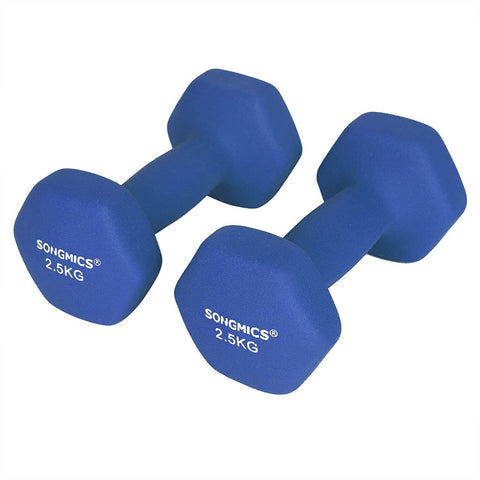 Rootz Dumbbells Set - 2.5 kg per Dumbell - Blue Dumbells - Weights and Dumbbells - 2 Pieces