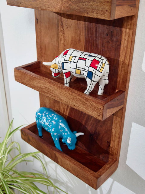 Rootz Wall Shelf - Modern Floating Hanging Shelf - Large Design for Living Room - Bookshelf Wall Mount - Solid Sheesham Wood - 30x80x10 cm