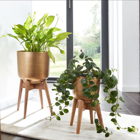 Rootz Flower Pot Set - 2 Metal and Solid Wood Planters in Gold with Feet - Design Round Planters - Stylish Flower Pot Planter