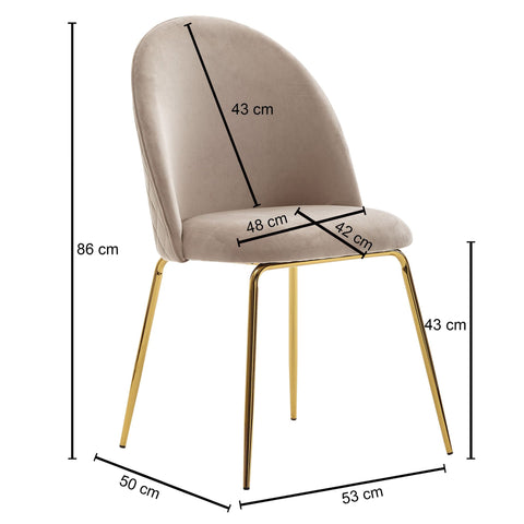 Rootz Dining Chair - Set of 2 Velvet Beige Upholstered - Kitchen Chair with Golden Legs - Scandinavian Shell Chair - Upholstered Chair with Velvet Cover