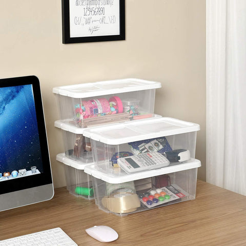 Rootz Shoe Box - Set of 12 - Transparent Storage Box - Plastic Lid - 35 x 20 x 12.5 cm